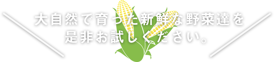 大自然で育った新鮮な野菜たちを是非お試しください。